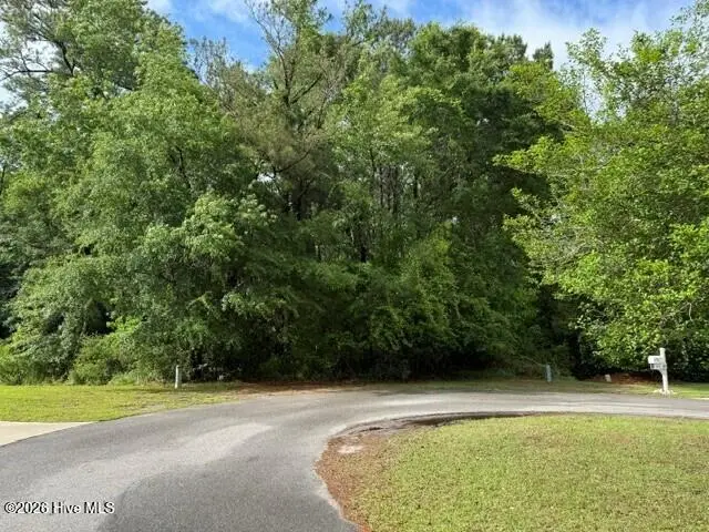 22 W High Bluff Drive, Hampstead, NC 28443 - #1