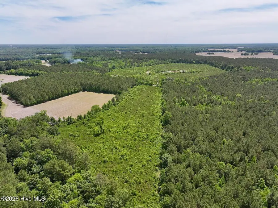 0 Skeeter Pond Road, Grifton, NC 28530 - #3