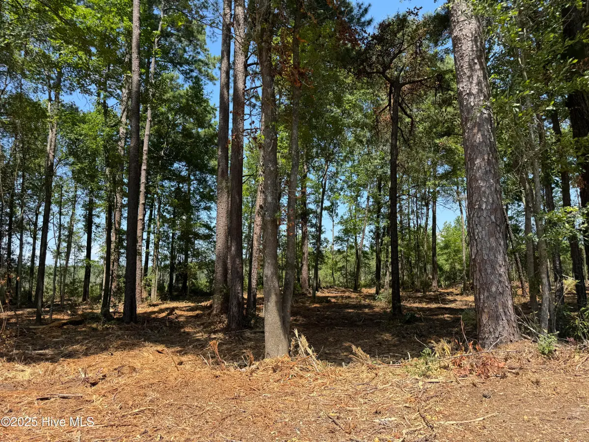 Lot 5 Near 4102 Swamp Fox (lot 5) Highway W, Tabor City, NC 28463 - #1