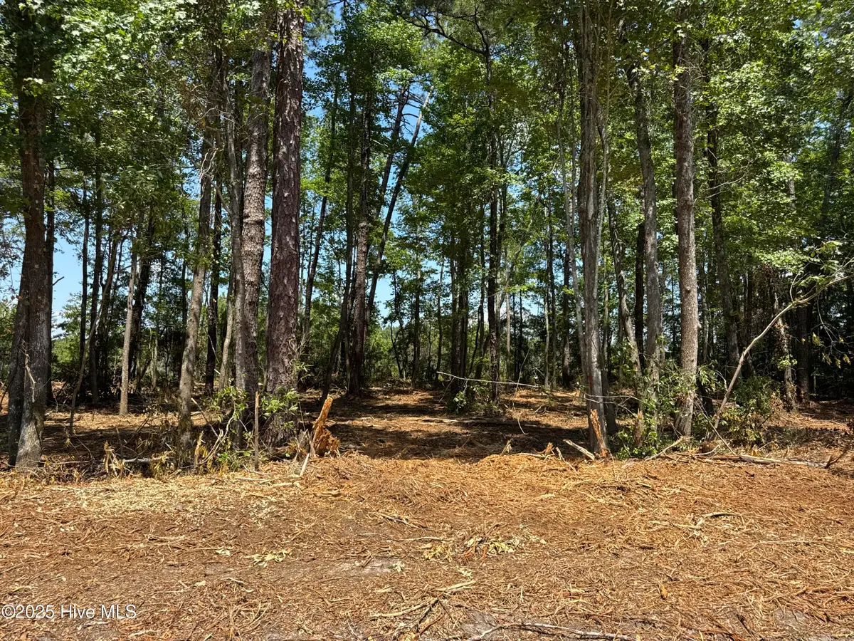 Lot 4 Near 4102 Swamp Fox (lot 4) Highway W, Tabor City, NC 28463 - #1