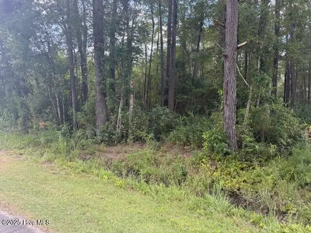 2539 Chauncey Town Road, Lake Waccamaw, NC 28450 - #1