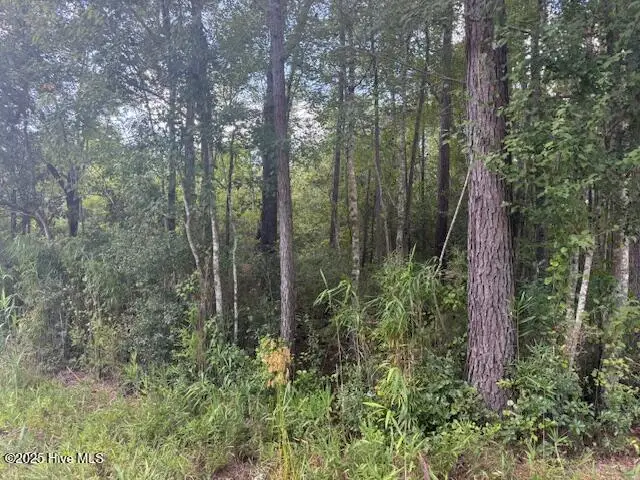 2539 Chauncey Town Road, Lake Waccamaw, NC 28450 - #2