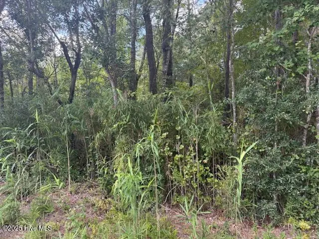2539 Chauncey Town Road, Lake Waccamaw, NC 28450 - #3