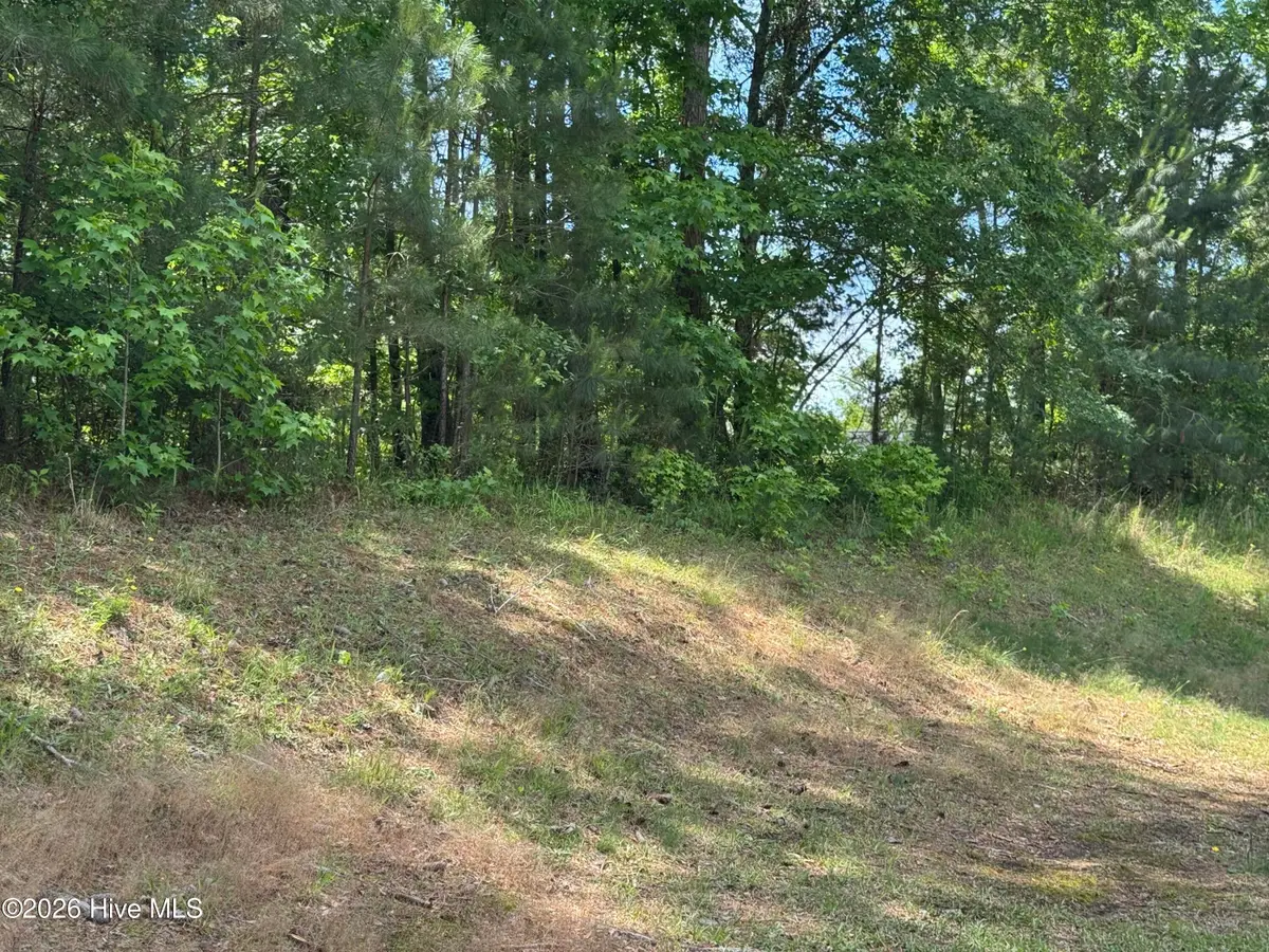 13 Shooting Match Lane, North Augusta, SC 29860 - #1