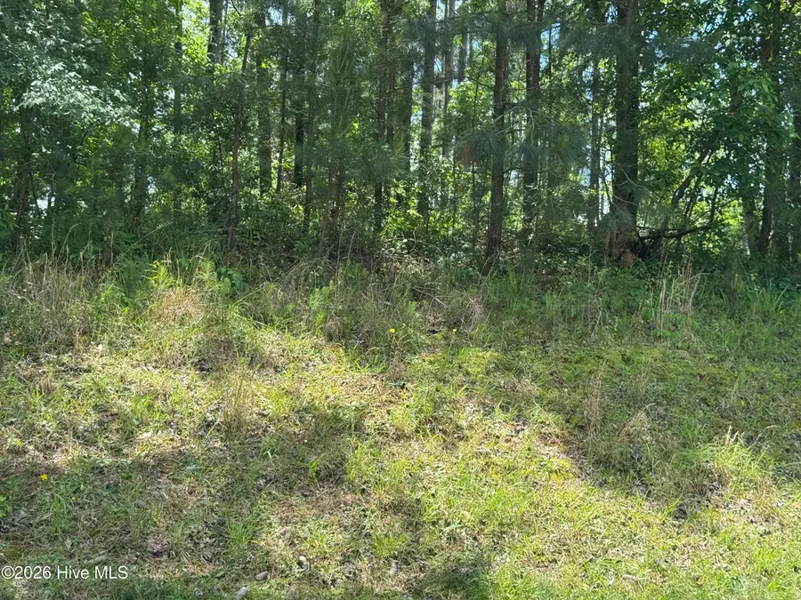 13 Shooting Match Lane, North Augusta, SC 29860 - #2
