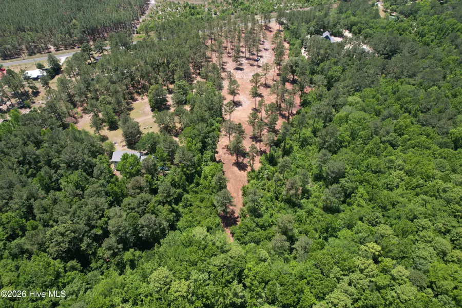 Sr 1323 Dowd Dairy Road, White Oak, NC 28399 - #3