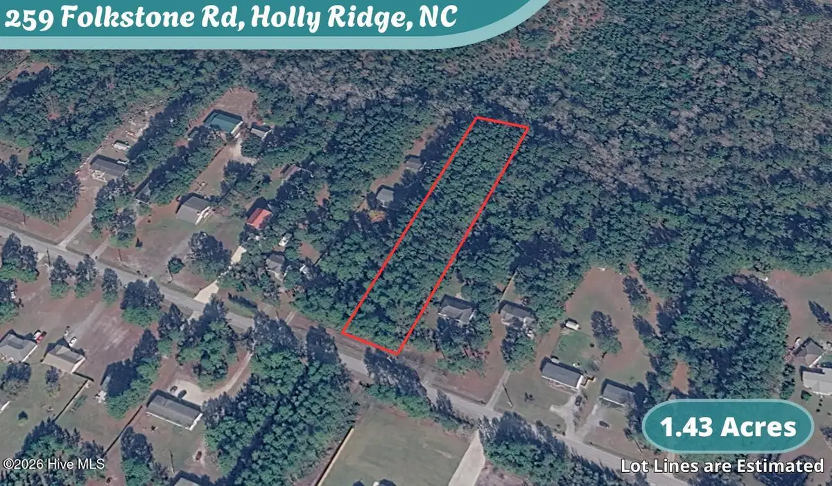 259 Folkstone Road, Holly Ridge, NC 28445 - #1