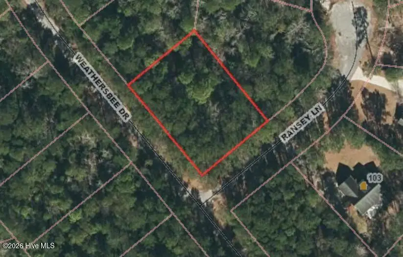 269 Weathersbee Drive, Hampstead, NC 28443 - #1