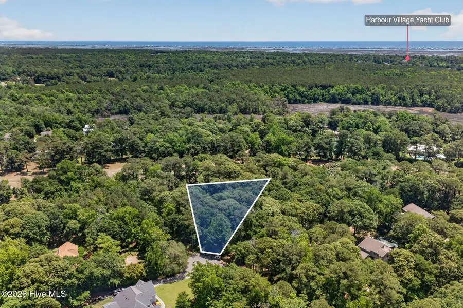 000 Wedge Road, Hampstead, NC 28443 - #3