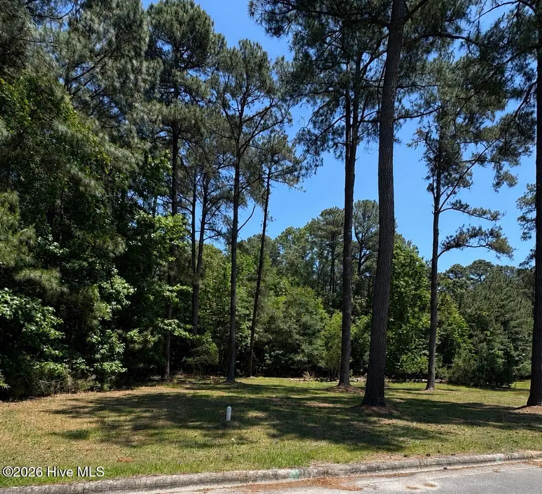 4244 W Prince Road, Farmville, NC 27828 - #1