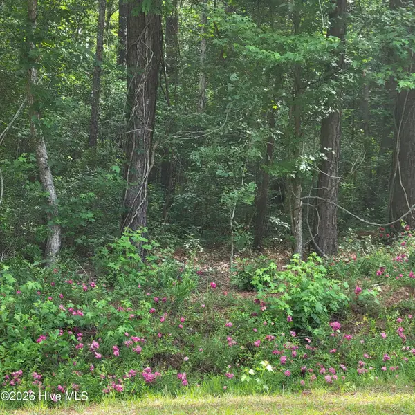 Lot 5-A Porter Road, Currie, NC 28435