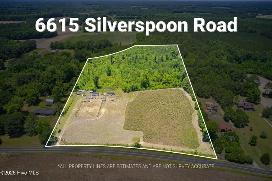 6615 Silver Spoon Road, Clarkton, NC 28433 - #2