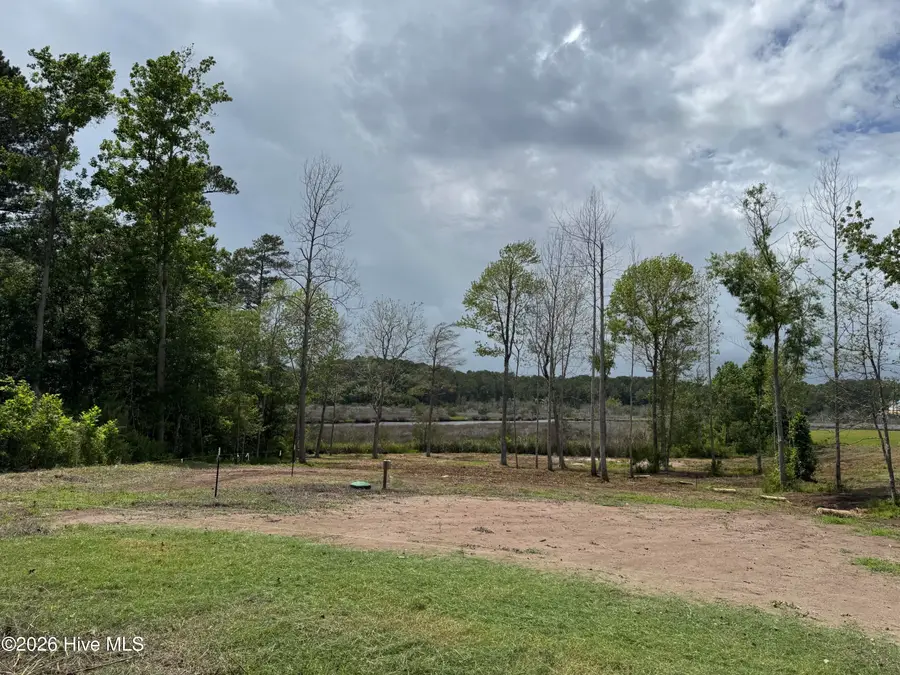 145 Misty Hollow Lane, Sneads Ferry, NC 28460 - #3