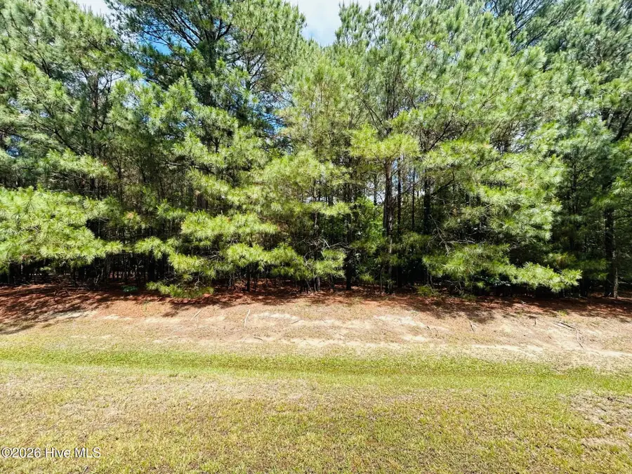 38 Calm Harbor Street, Hertford, NC 27944 - #2