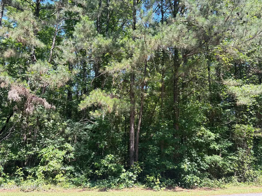 0 Bereau Drive, McCormick, SC 29835 - #2
