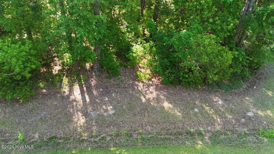 126 Deer Trail, Beaufort, NC 28516 - #2
