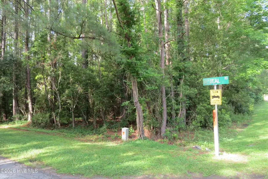 20 Teal Road, Merritt, NC 28556 - #2