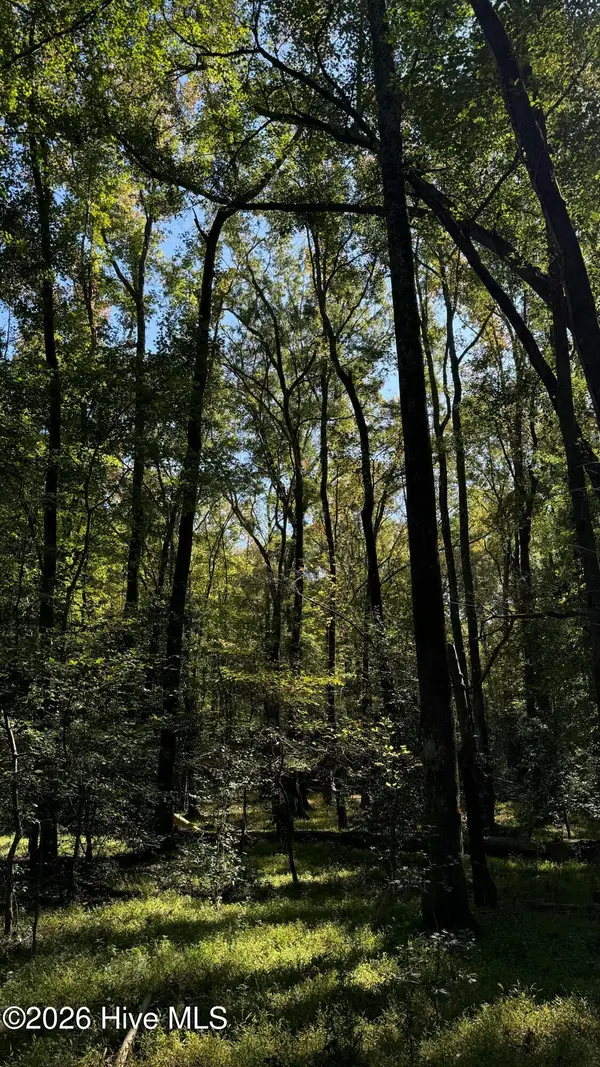 0 Union Church Road, Cameron, NC 28326