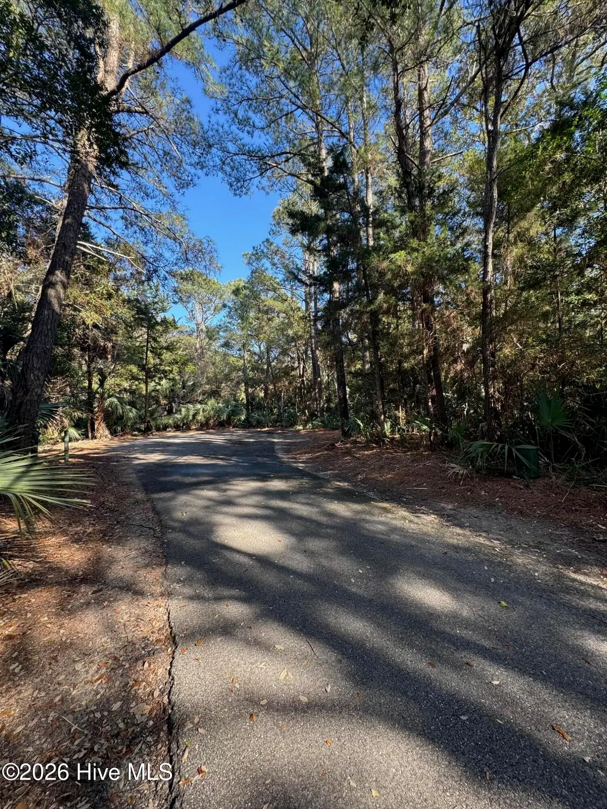 5 Gray Fox Court, Bald Head Island, NC 28461 - #1