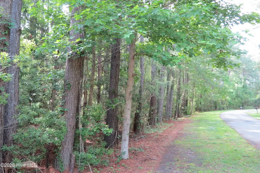 0 Teal Road, Merritt, NC 28556 - #3