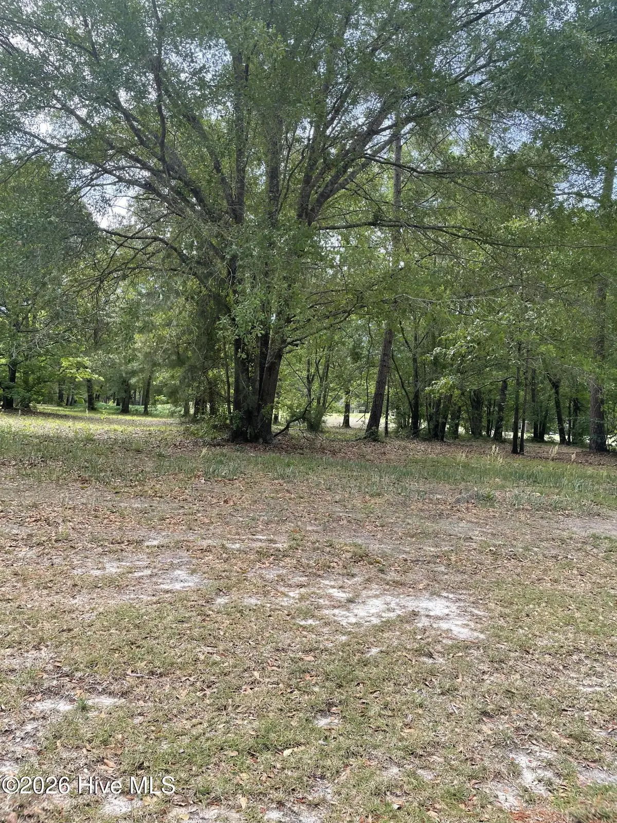 210 Cedar Point Drive, Wallace, NC 28466 - #1