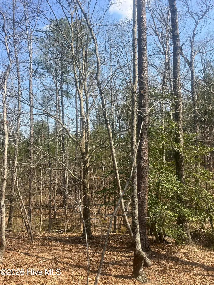 Tbd Healing Acres Lane, Carthage, NC 28327 - #2