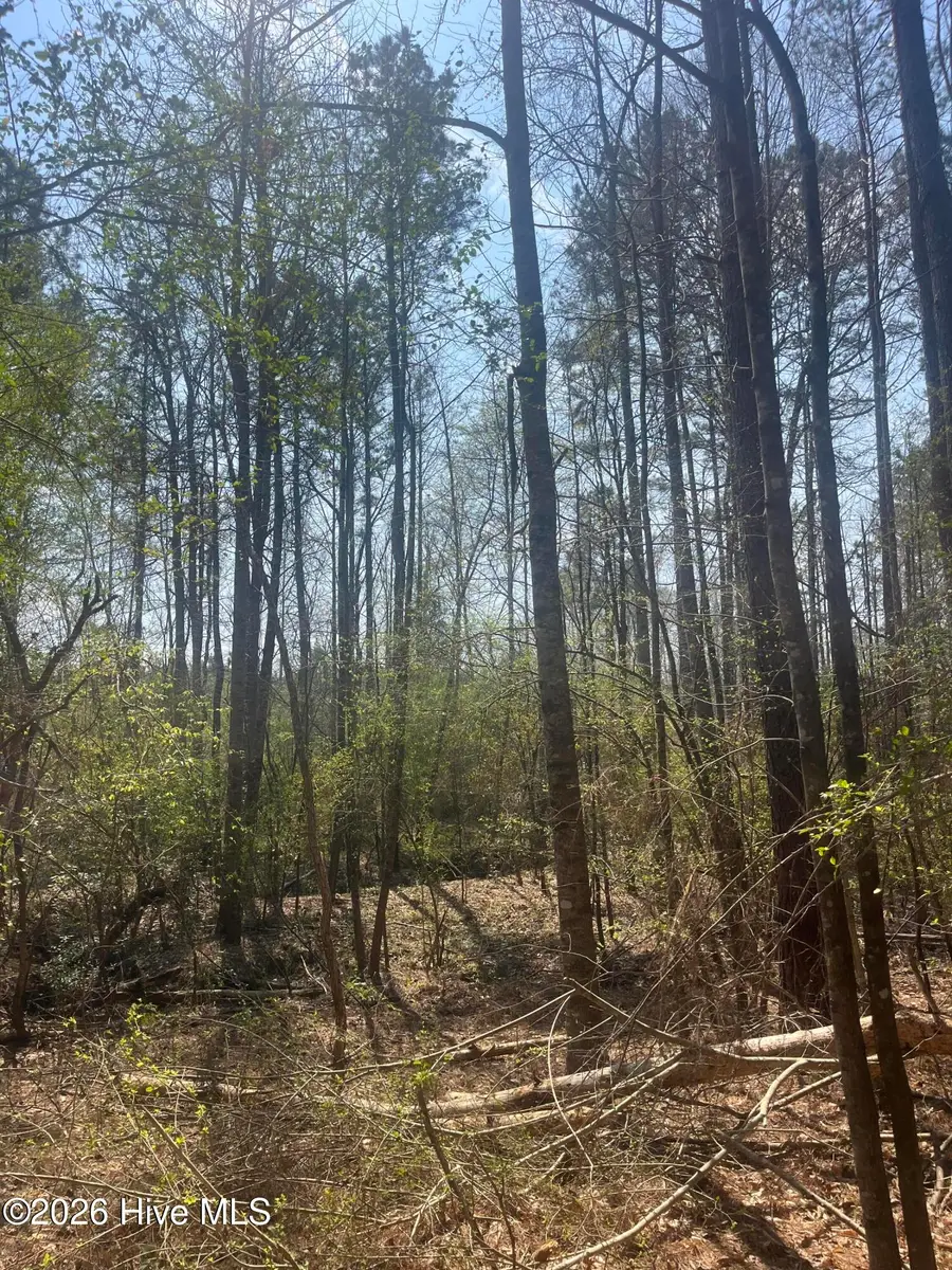 Tbd Healing Acres Lane, Carthage, NC 28327 - #3