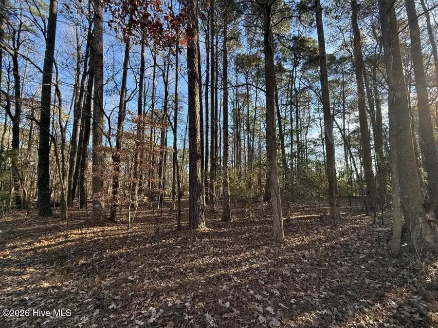18 C Comanche Trail, Hertford, NC 27944 - #3