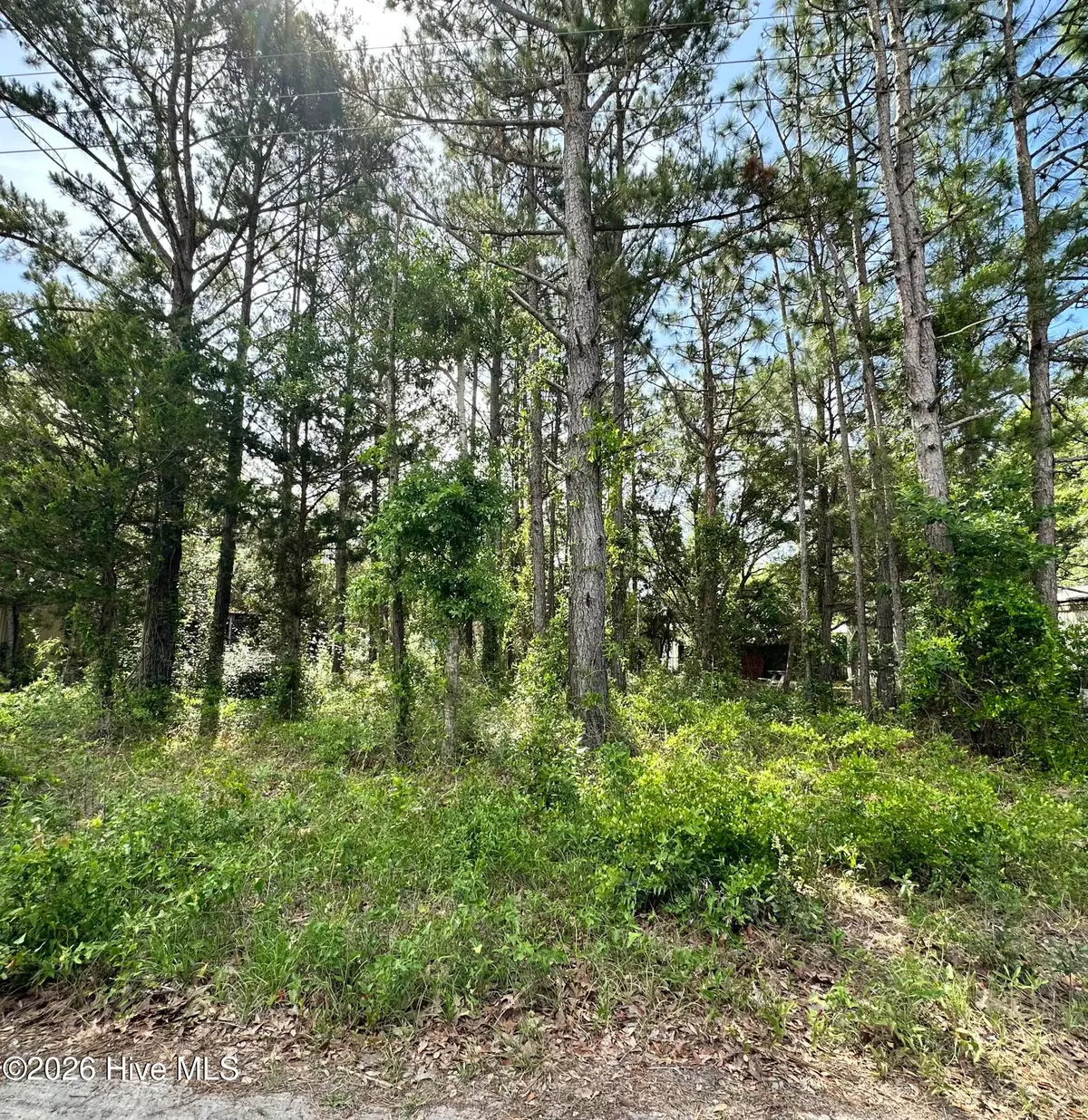2983 Canna Place Sw, Shallotte, NC 28470 - #1