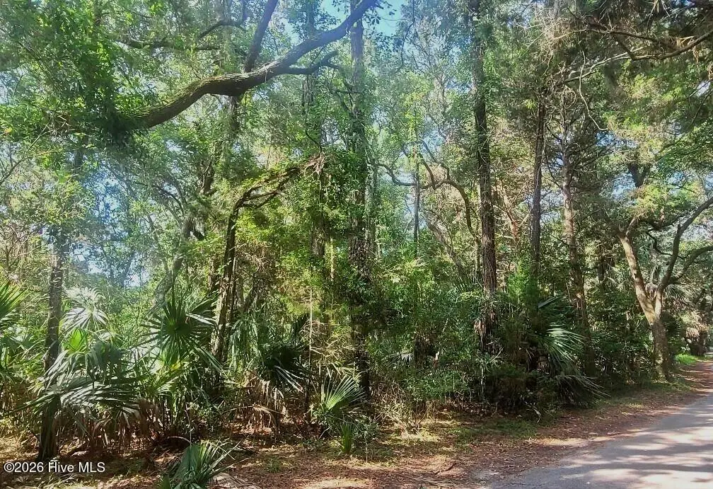 64 Dowitcher Trail, Bald Head Island, NC 28461 - #1