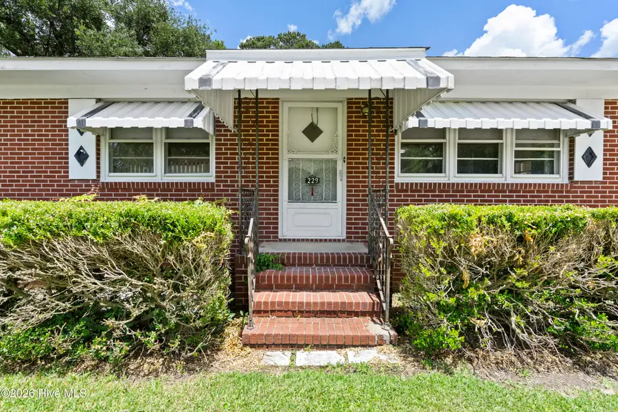 229 Bermuda Drive, Wilmington, NC 28401 - #3
