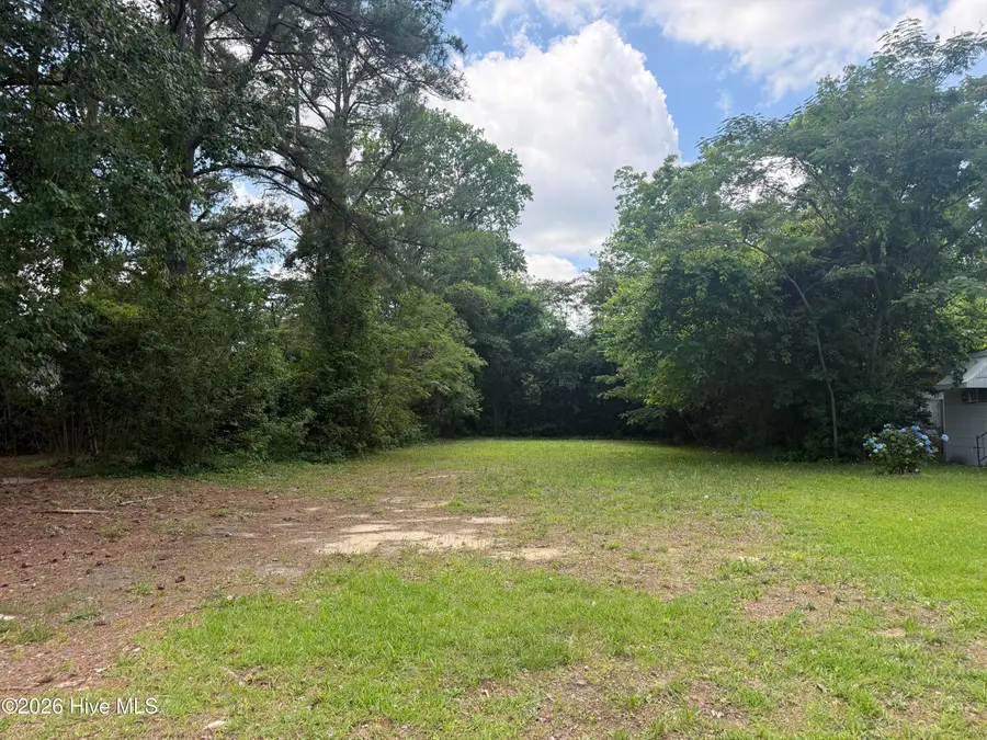 1702 Charlotte Avenue, Kinston, NC 28501 - #2