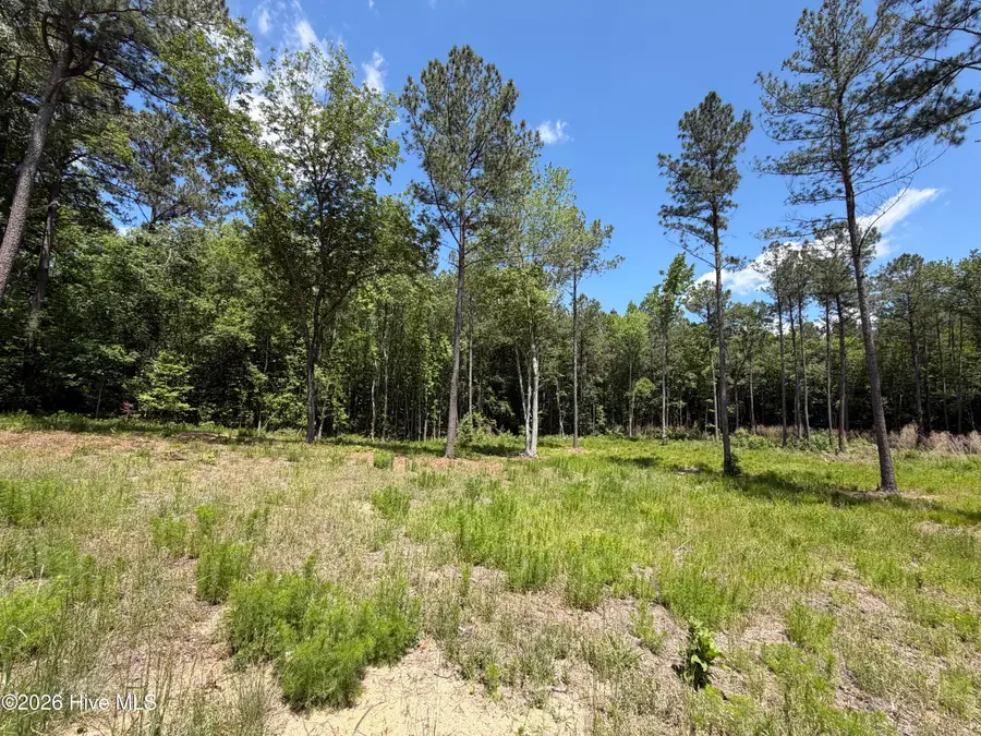 979 Aiken Road, Vass, NC 28394 - #2