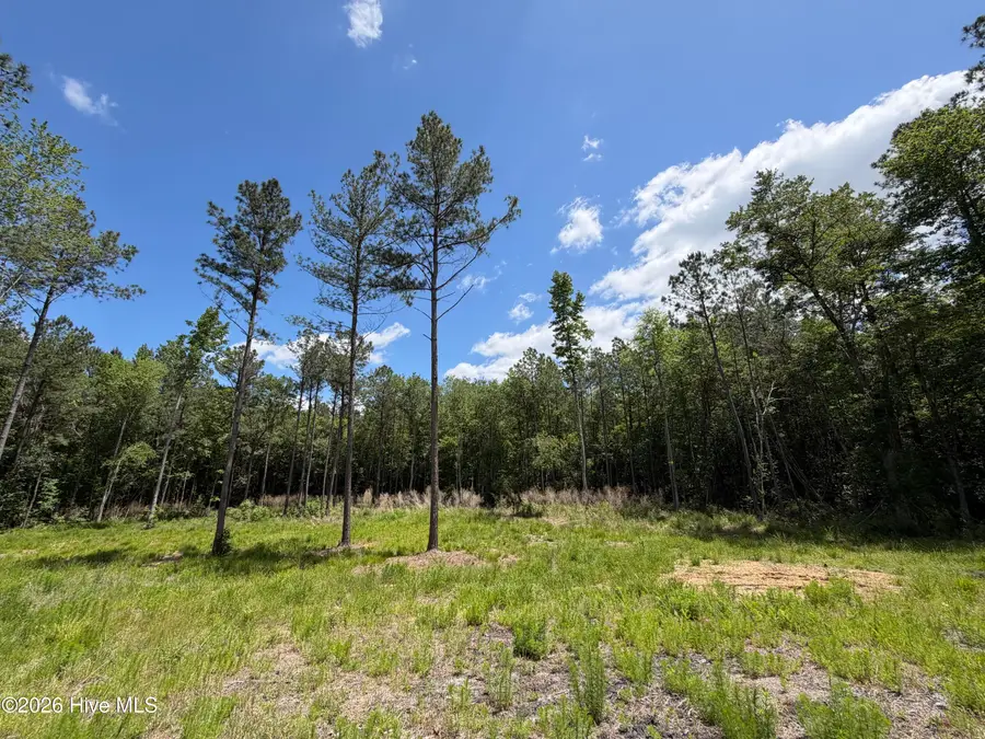 979 Aiken Road, Vass, NC 28394 - #3