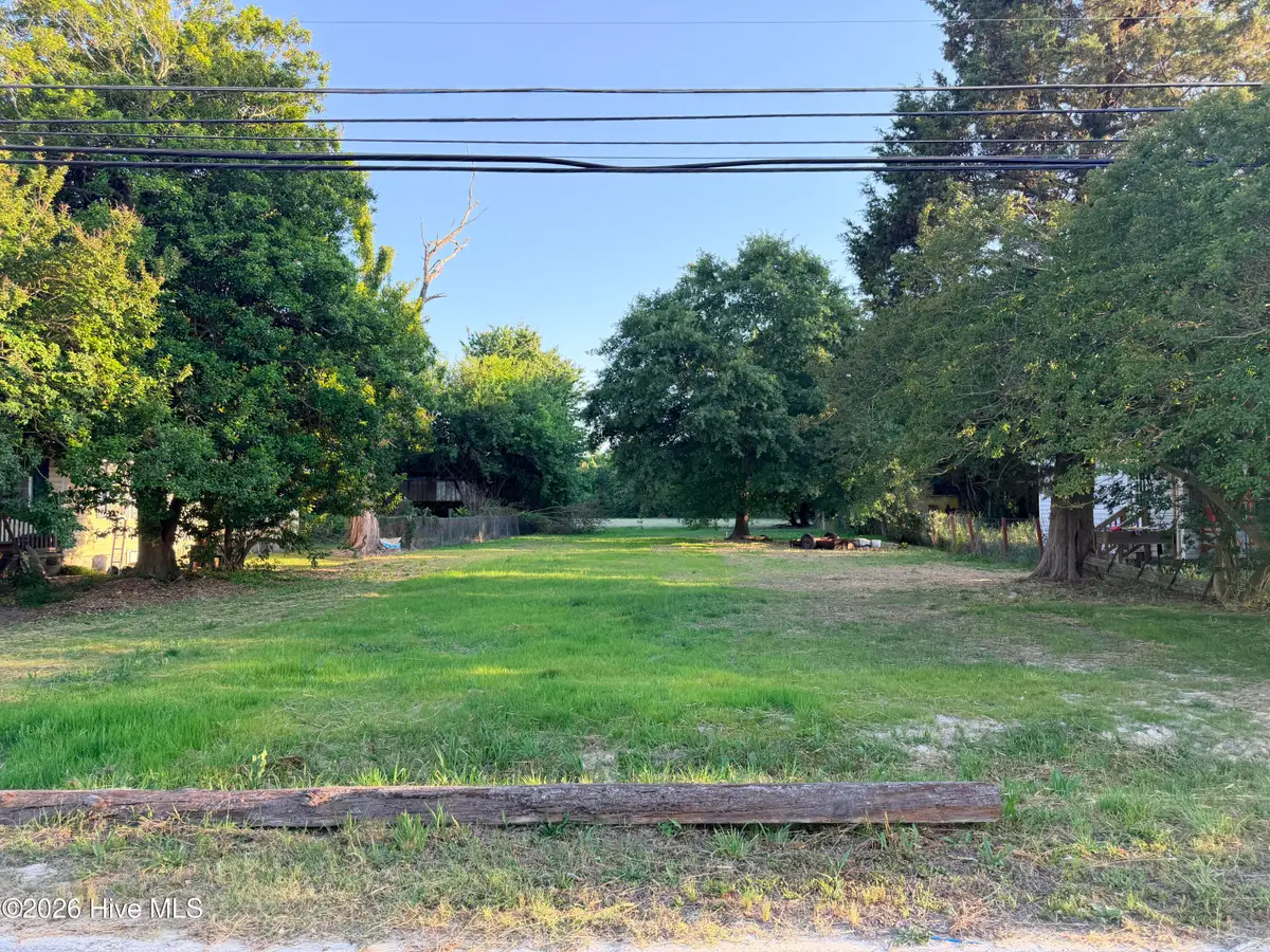 227 Belfast Road, Goldsboro, NC 27530 - #1