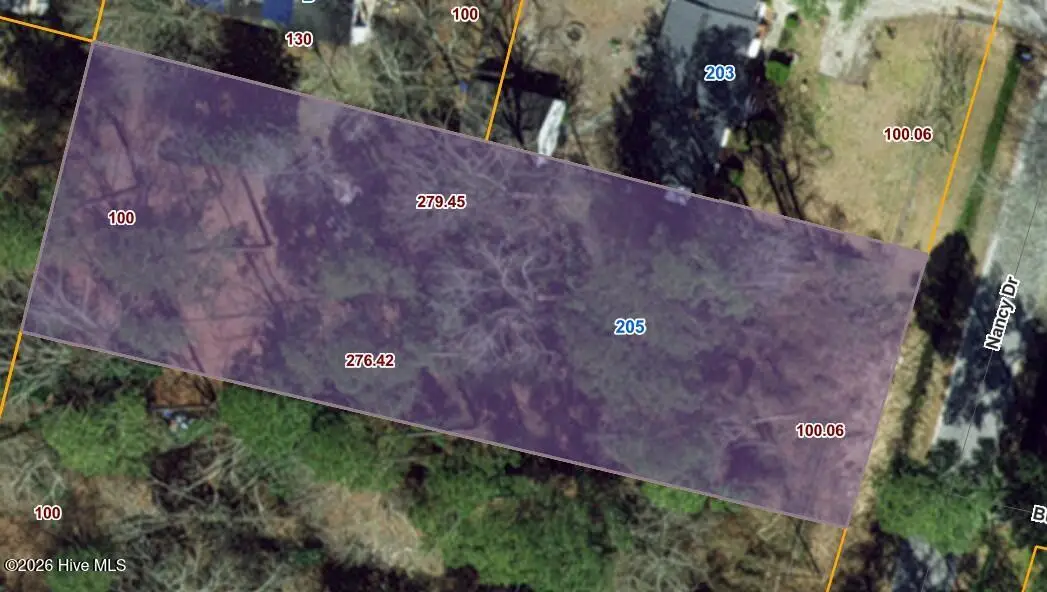 205 Nancy Drive, Dudley, NC 28333 - #1