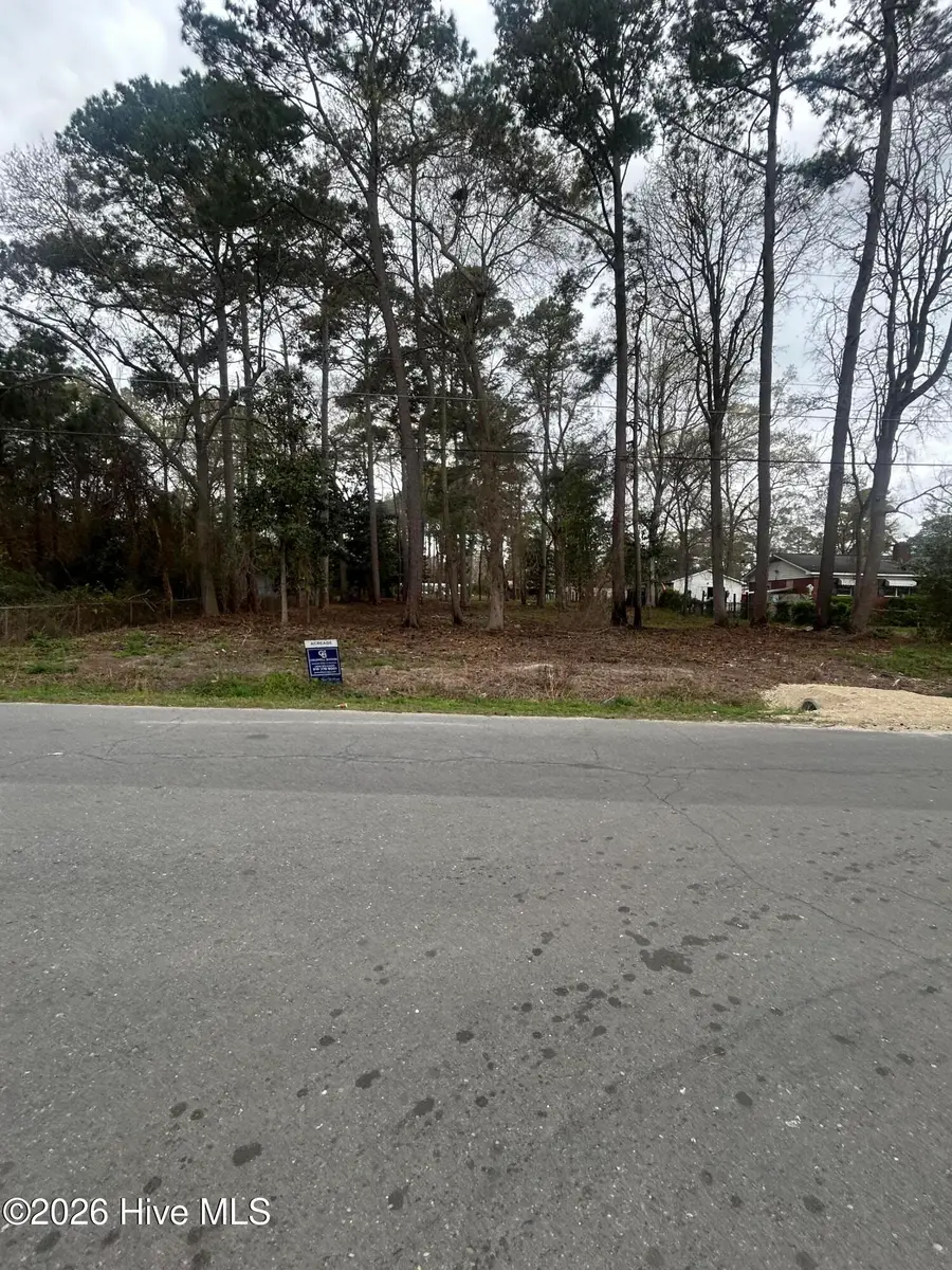 205 Nancy Drive, Dudley, NC 28333 - #2
