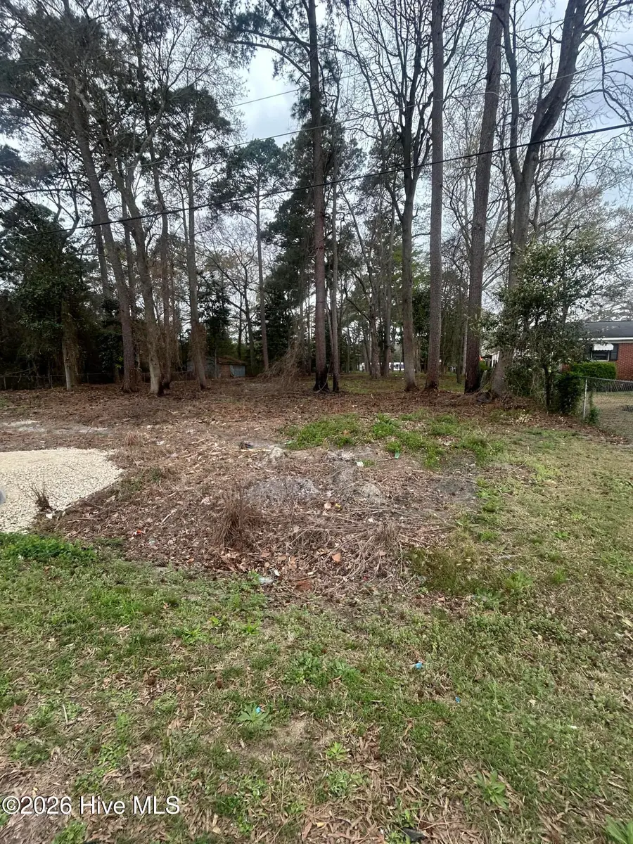 205 Nancy Drive, Dudley, NC 28333 - #3
