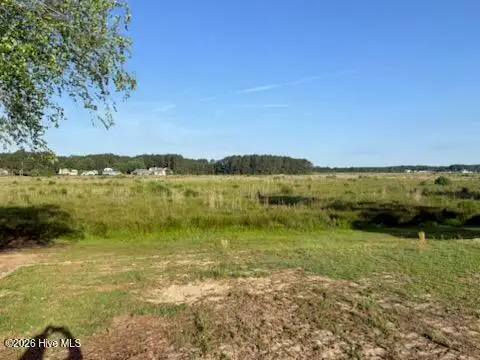 831 Castleberry Court, Vass, NC 28394 - #2