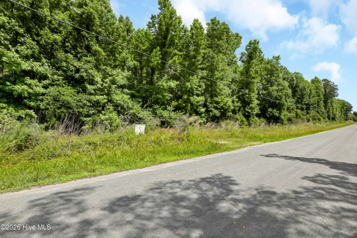 Lot 4 Us Hwy 117, Burgaw, NC 28425 - #1