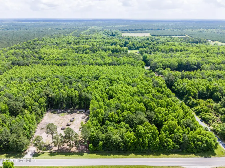 Lot 4 Us Hwy 117, Burgaw, NC 28425 - #3