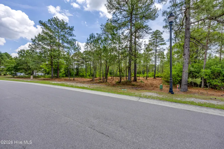 9632 Fallen Pear Lane Ne, Leland, NC 28451 - #2