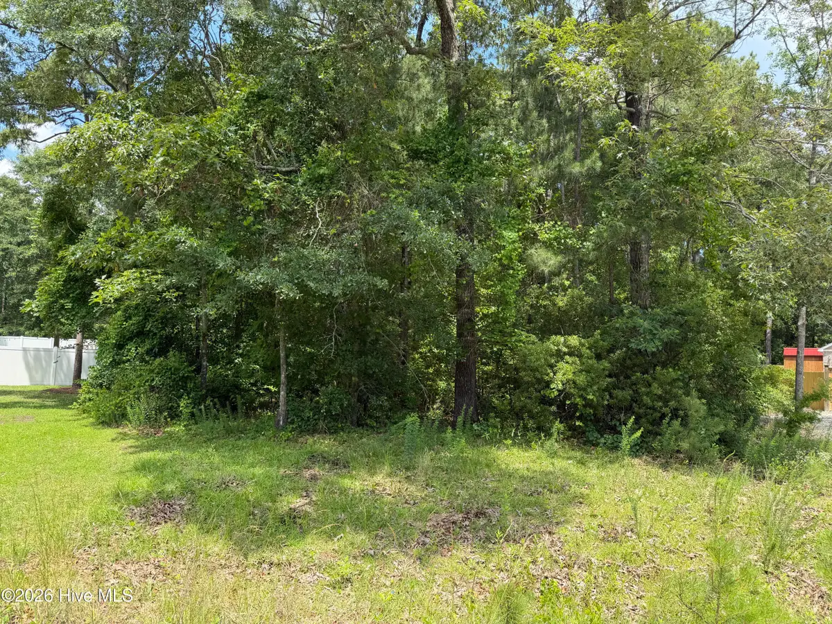 118 Ferret Run Lane, New Bern, NC 28562 - #1