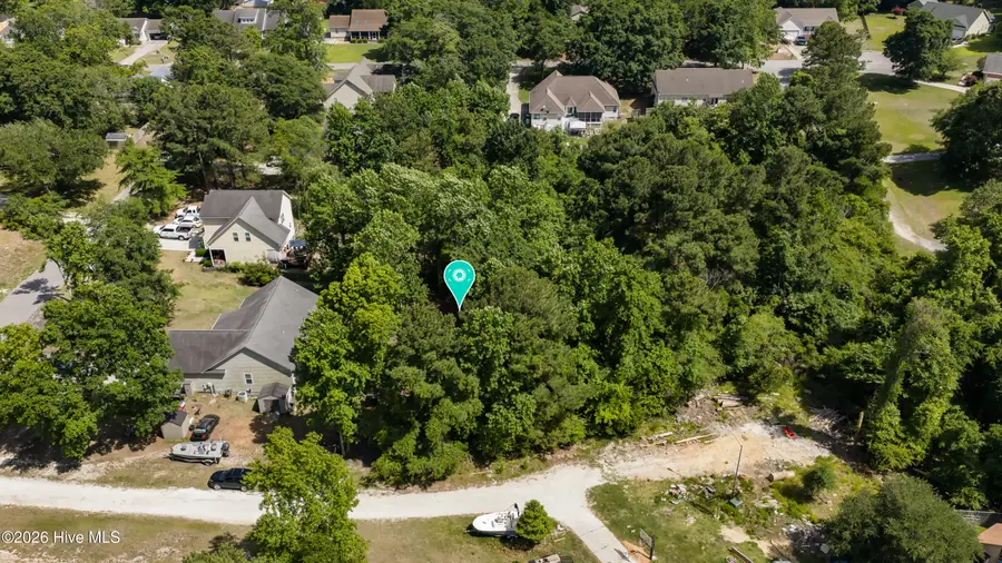 L19 Hidden Fawn Lane, Hampstead, NC 28443 - #3
