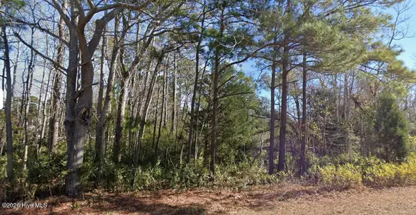 1616 Star Cross Drive Sw, Shallotte, NC 28470