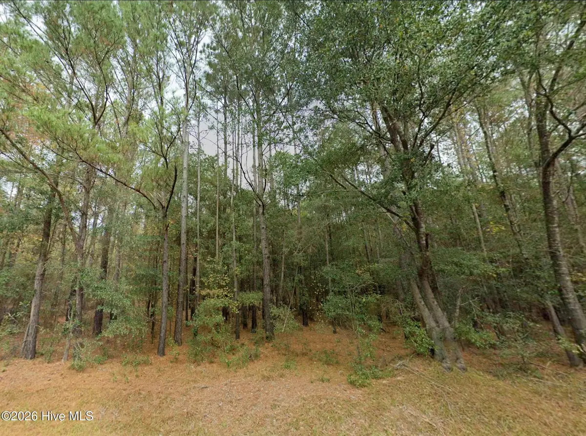 0 Shiloh Road, Willard, NC 28478 - #1