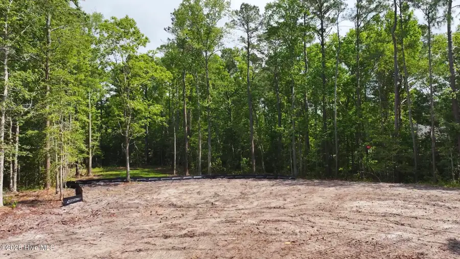 306 Joans Ridge, Stella, NC 28582 - #2