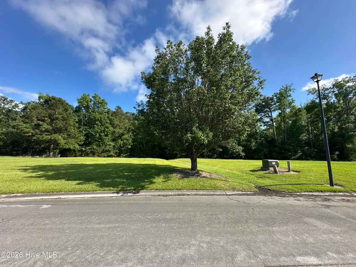 98 Carolina Way, Arapahoe, NC 28510 - #1