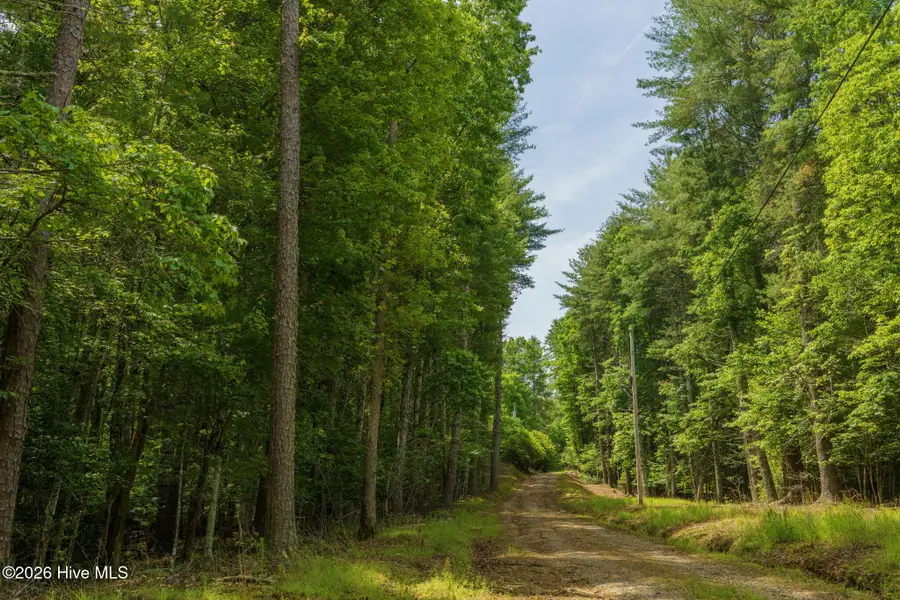 Lot #9 &10 Holly Ridge Lane, Murphy, NC 28906 - #3