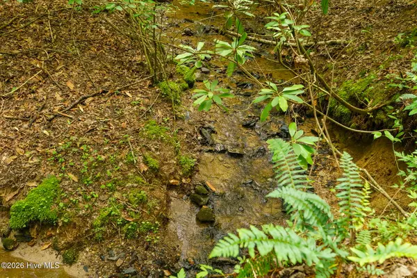 Lot 9 Holly Ridge Lane, Murphy, NC 28906